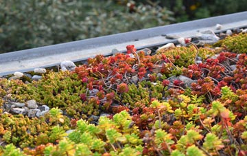 the cost of Scarva green roof installation