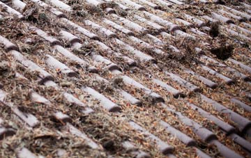 Scarva roof cleaning companies