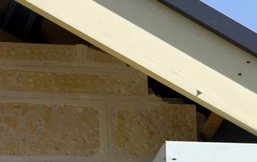 soffit repair Scarva