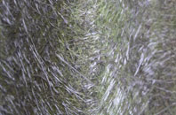 Scarva fibreglass roof work